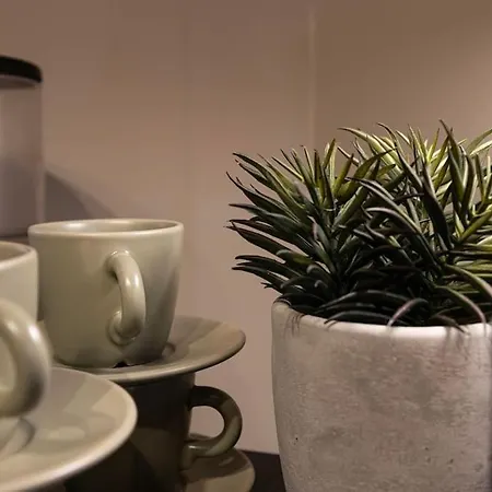 Nordic Nook - Modern Getaway
